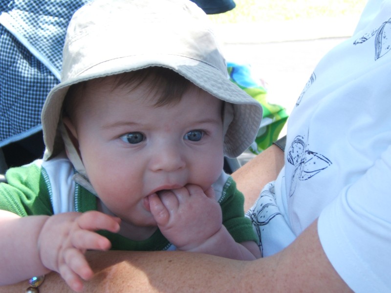 Palo Alto-Gal 6.2005 517.jpg